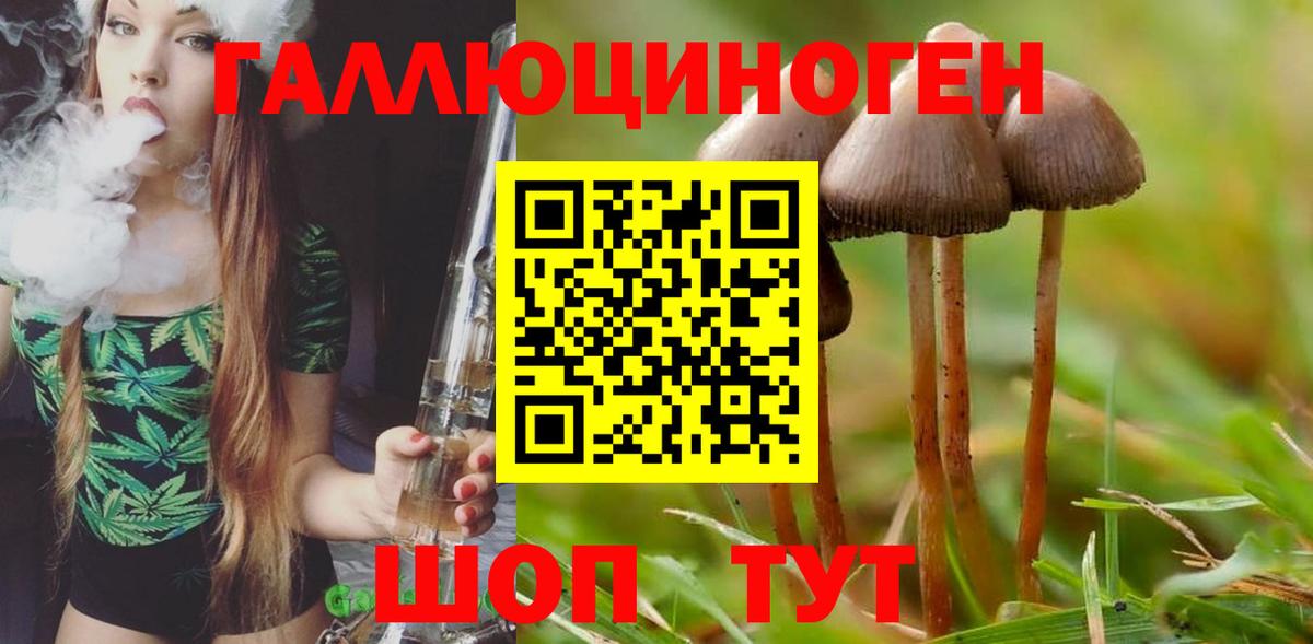 Псилоцибиновые грибы мицелий  Вход с VPN  Ишим  Псилоцибиновые грибы Psilocybe 